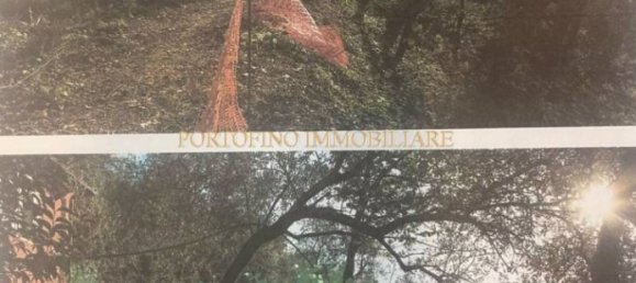 4 chambres Villa à Zoagli, Italy No. 84767 25