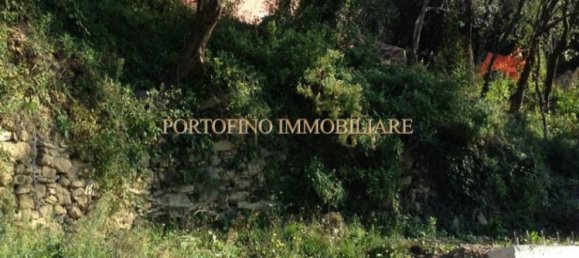 4 chambres Villa à Zoagli, Italy No. 84767 31