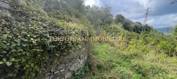 4 chambres Villa à Zoagli, Italy No. 84767 27