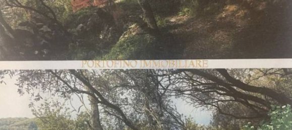 4 chambres Villa à Zoagli, Italy No. 84767 23