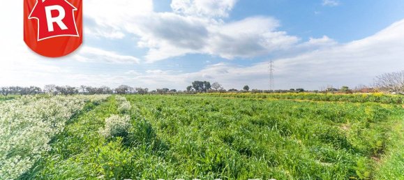 2 bedrooms House in Galatina, Italy No. 194359 33