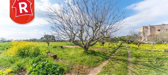 2 bedrooms House in Galatina, Italy No. 194359 37