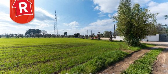 2 bedrooms House in Galatina, Italy No. 194359 24