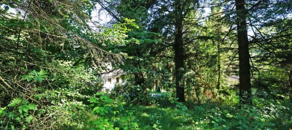 Земельный участок с 3 комнатами в Тулльнербах, Австрия № 122762 9