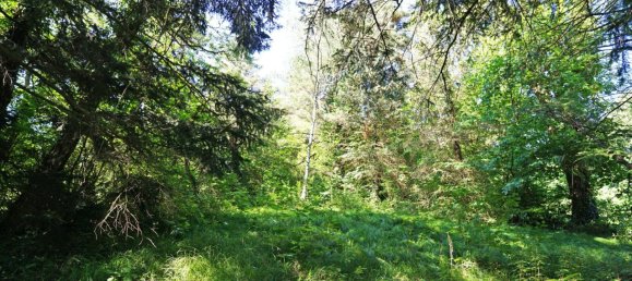 Земельный участок с 3 комнатами в Тулльнербах, Австрия № 122762 2