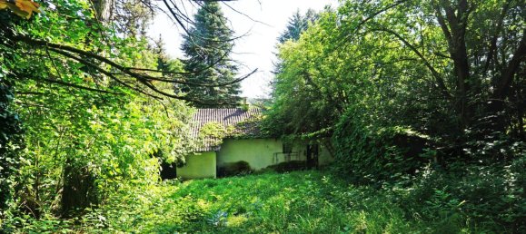 Земельный участок с 3 комнатами в Тулльнербах, Австрия № 122762 3