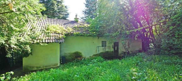 Земельный участок с 3 комнатами в Тулльнербах, Австрия № 122762 8