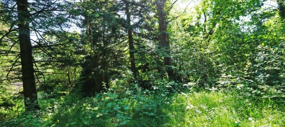 Земельный участок с 3 комнатами в Тулльнербах, Австрия № 122762 10