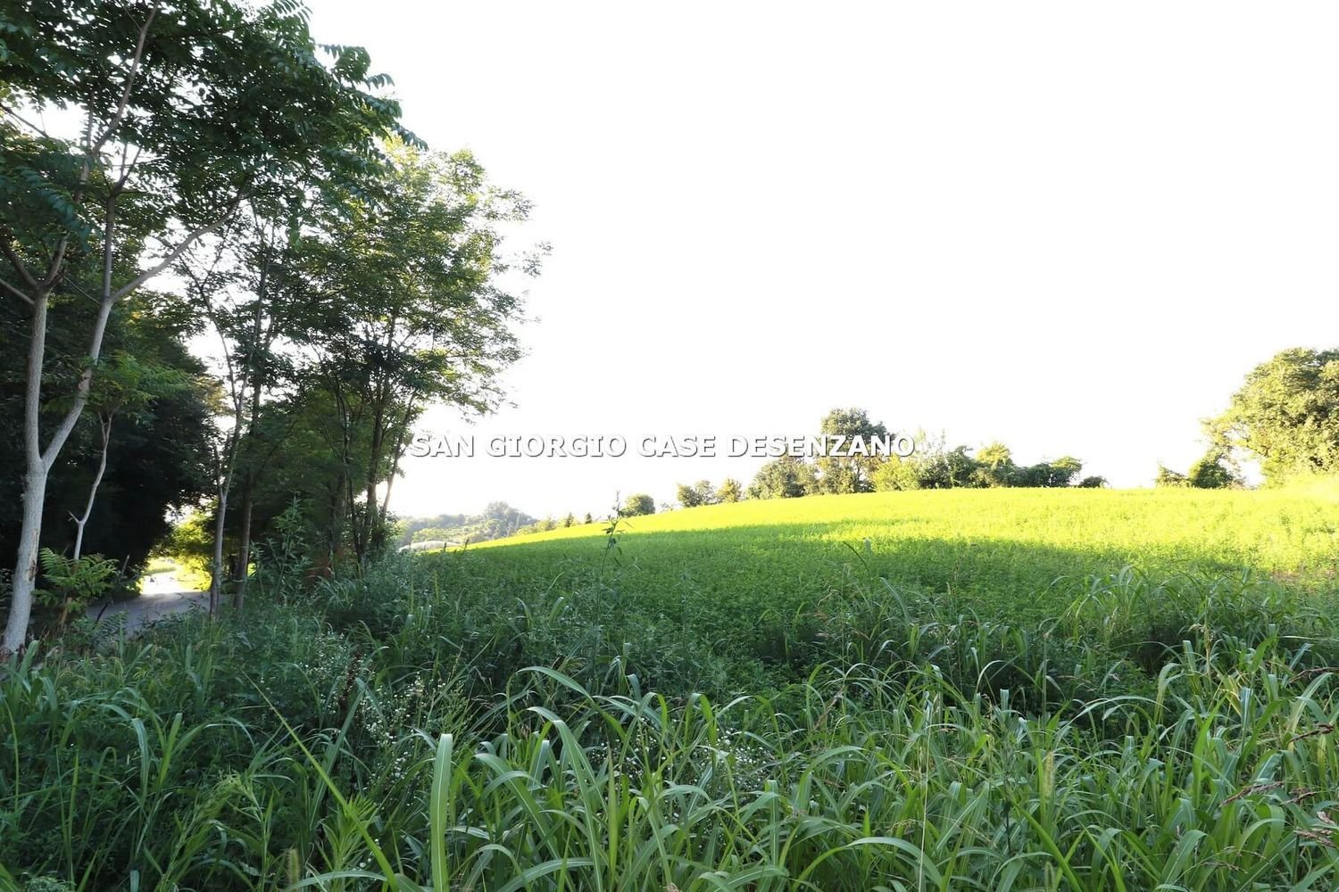 110000m² Land in Castiglione delle Stiviere, Italy No. 298473