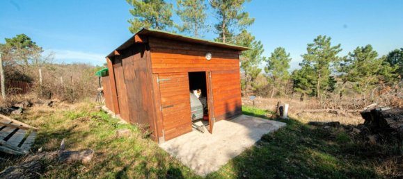 4 bedrooms House in Chianni, Italy No. 232561 17