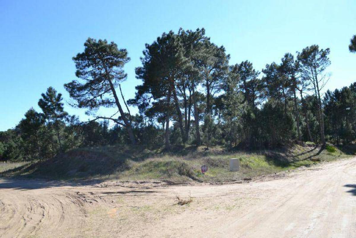  Land in Mar del Plata, Argentina No. 111213