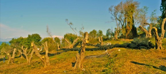 4160m² Hotel in Corfu, Greece No. 6483 9