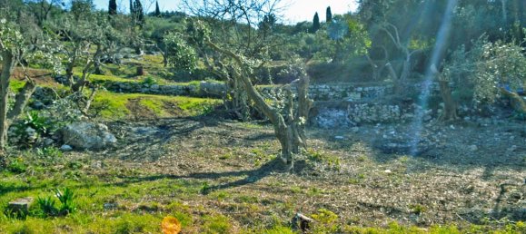 4160m² Hotel in Corfu, Greece No. 6483 6