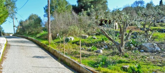 4160m² Hotel in Corfu, Greece No. 6483 7