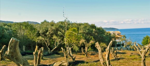 4160m² Hotel in Corfu, Greece No. 6483 2