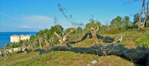 4160m² Hotel in Corfu, Greece No. 6483 3