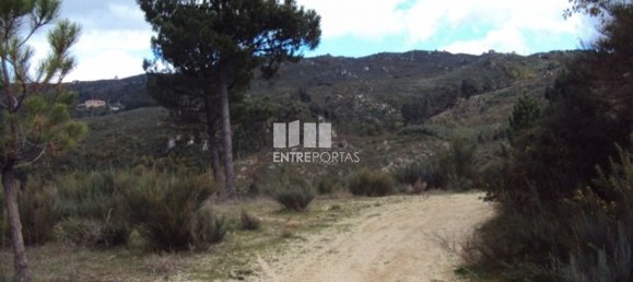 Terreno en Marco de Canaveses, Portugal 27000 m² No. 55084 15