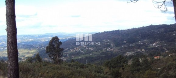 Terreno en Marco de Canaveses, Portugal 27000 m² No. 55084 22