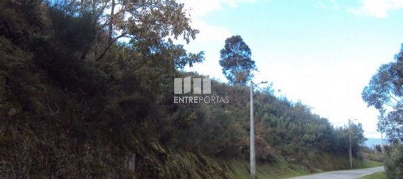 Terreno en Marco de Canaveses, Portugal 27000 m² No. 55084 4
