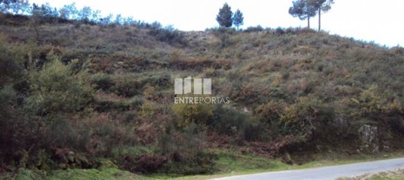 Terreno en Marco de Canaveses, Portugal 27000 m² No. 55084 2
