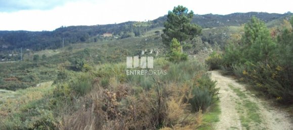 Terreno en Marco de Canaveses, Portugal 27000 m² No. 55084 13