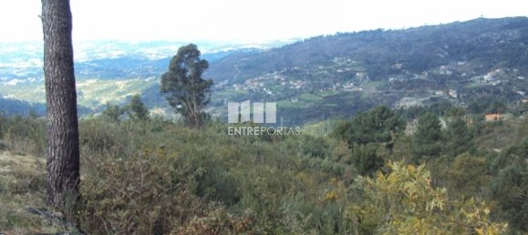 Terreno en Marco de Canaveses, Portugal 27000 m² No. 55084 25
