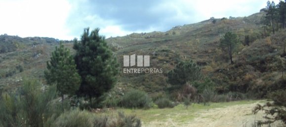 Terreno en Marco de Canaveses, Portugal 27000 m² No. 55084 19