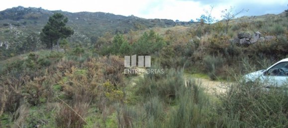 Terreno en Marco de Canaveses, Portugal 27000 m² No. 55084 11