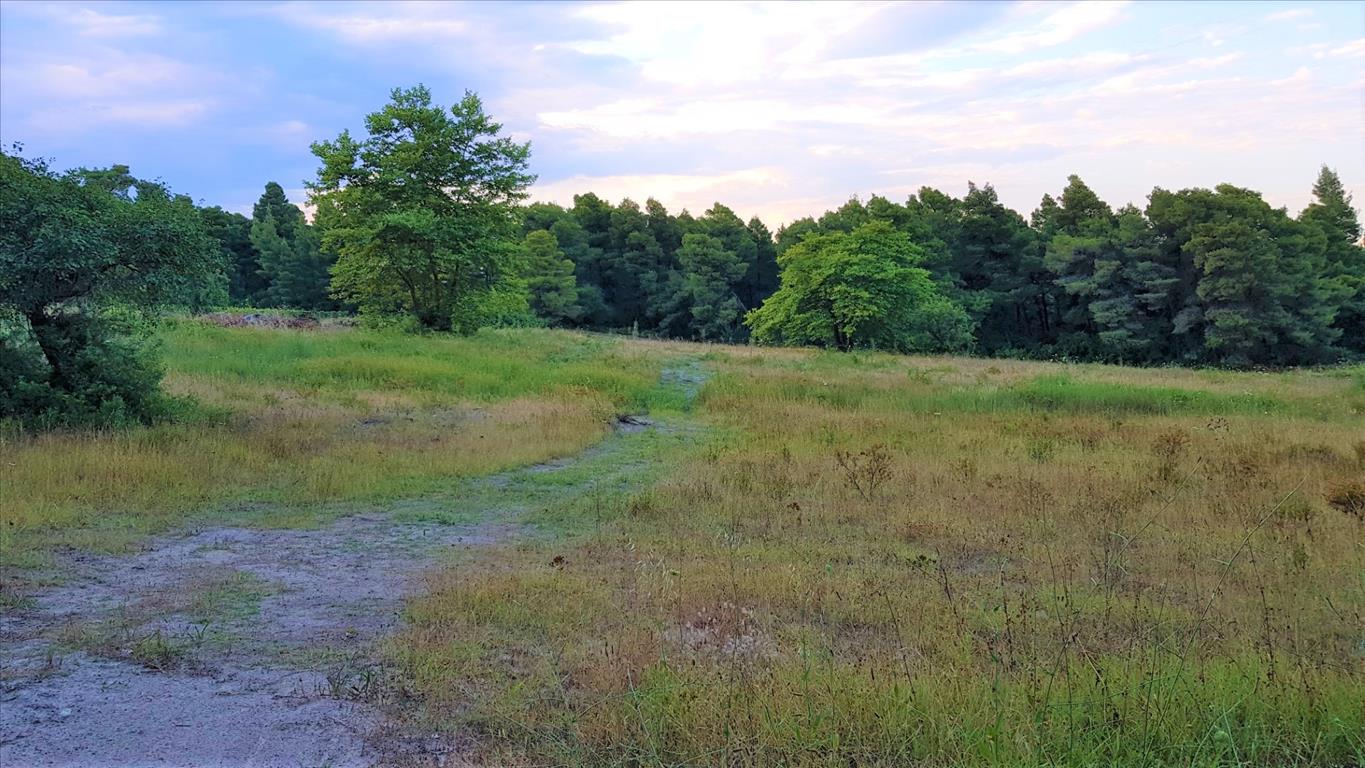 Hotel en Chalkidiki, Greece 19895 m² No. 66477