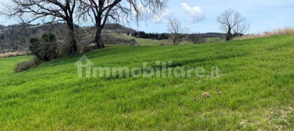 Casa de 3 dormitorios en Lajatico, Italy No. 178037 12