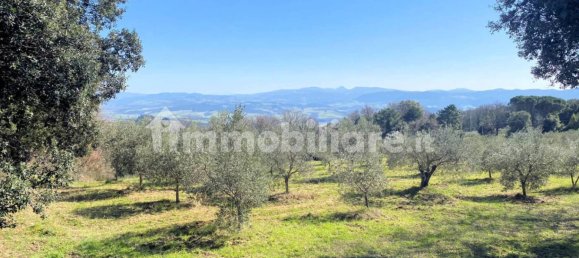 Casa de 3 dormitorios en Lajatico, Italy No. 178037 4