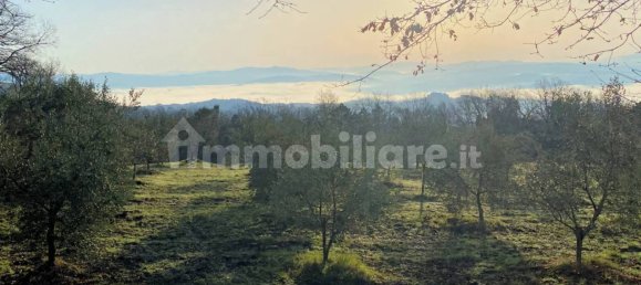 Casa de 3 dormitorios en Lajatico, Italy No. 178037 6