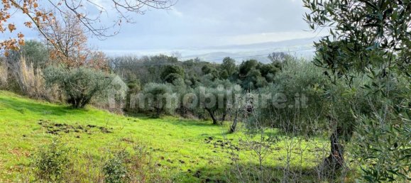 Casa de 3 dormitorios en Lajatico, Italy No. 178037 11