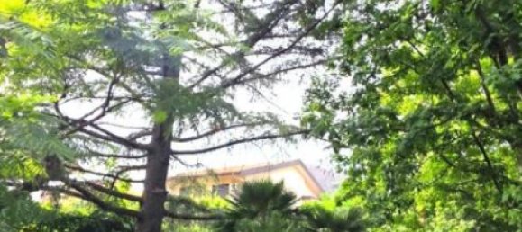 Вилла с 5 спальнями в Николози, Италия № 325490 34