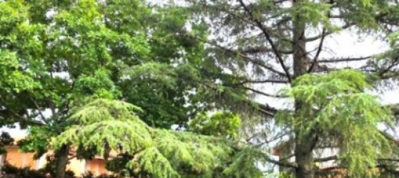 Вилла с 5 спальнями в Николози, Италия № 325490 26