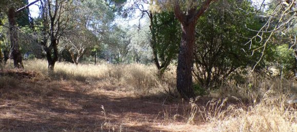 1000m² Land in Narbonne, France No. 319228 4