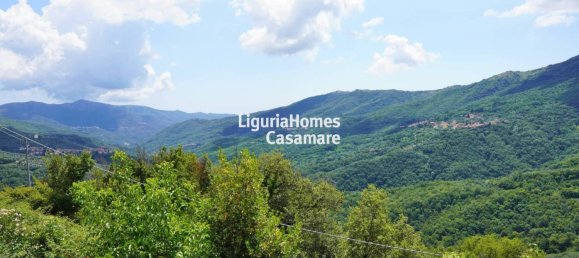 3 bedrooms Villa in Borgomaro, Italy No. 305522 15