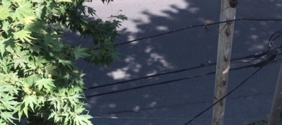 Дом с 11 спальнями в Баку, Азербайджан № 218 4