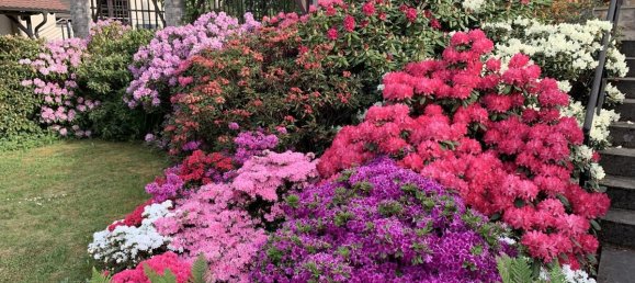 Дом с 4 комнатами в Бургенланд, Германия № 41012 10