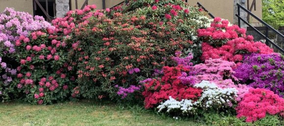 Дом с 4 комнатами в Бургенланд, Германия № 41012 26