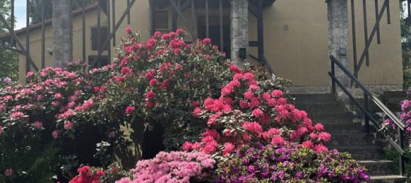 Дом с 4 комнатами в Бургенланд, Германия № 41012 6