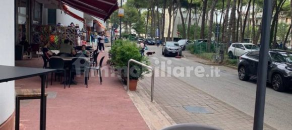 2-Zimmer Gewerbliche Immobilie in Udine, Italy, Nr. 223018 3