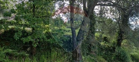 Grundstück in Ponte de Lima, Portugal 2940m², Nr. 78612 8