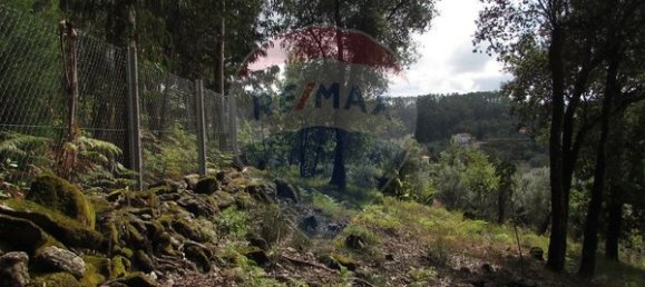 Grundstück in Ponte de Lima, Portugal 2940m², Nr. 78612 9