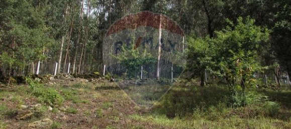 Grundstück in Ponte de Lima, Portugal 2940m², Nr. 78612 6