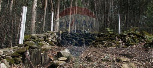 Grundstück in Ponte de Lima, Portugal 2940m², Nr. 78612 10