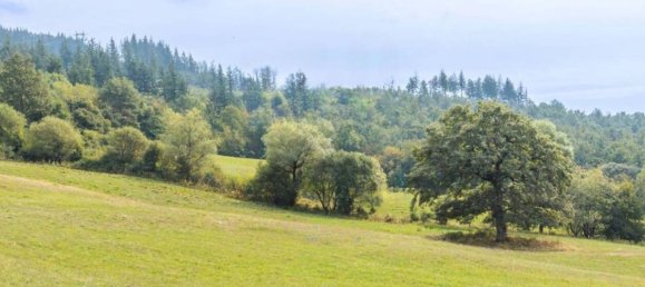 Terrain à Castiglione dei Pepoli, Italy 120000m² No. 11207 17
