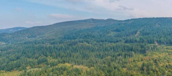 Terrain à Castiglione dei Pepoli, Italy 120000m² No. 11207 5