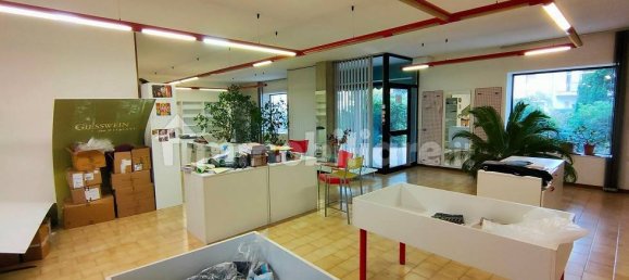 3 bedrooms House in Ronco all'Adige, Italy No. 218847 5