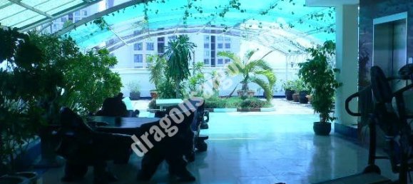 120m² Apartment in Thu Duc, Vietnam No. 10929 10